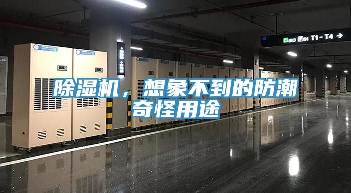 除濕機，想象不到的防潮奇怪用途