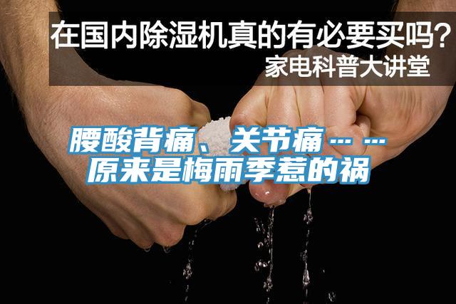 腰酸背痛、關(guān)節(jié)痛……原來是梅雨季惹的禍