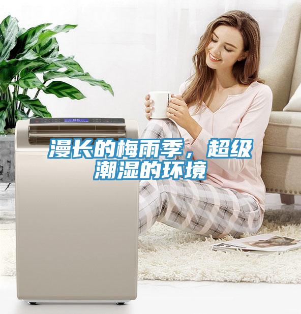 漫長的梅雨季，超級潮濕的環境