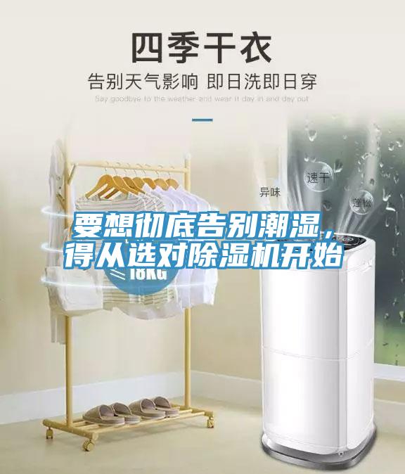 要想徹底告別潮濕，得從選對除濕機開始