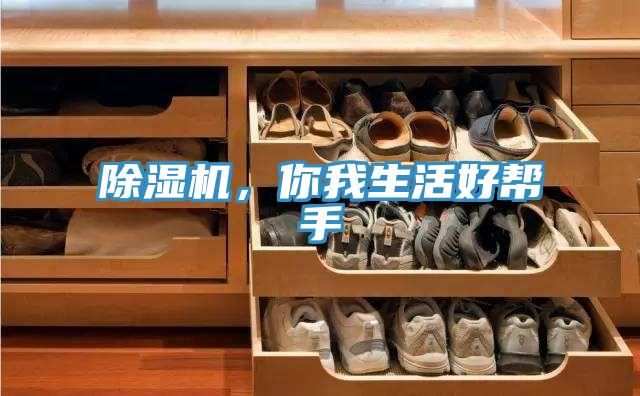 除濕機，你我生活好幫手
