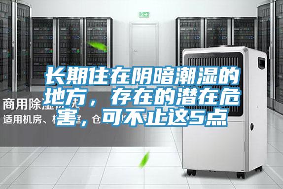 長期住在陰暗潮濕的地方，存在的潛在危害，可不止這5點