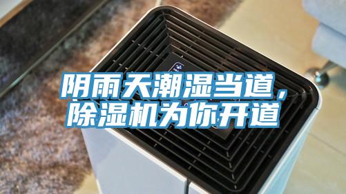 陰雨天潮濕當(dāng)?shù)溃凉駲C為你開道
