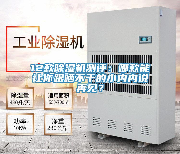 12款除濕機(jī)測(cè)評(píng)：哪款能讓你跟曬不干的小內(nèi)內(nèi)說(shuō)再見(jiàn)？