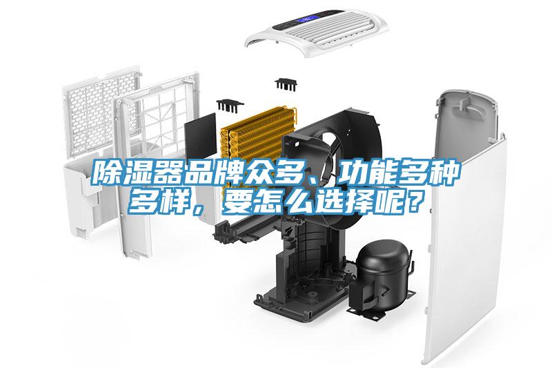除濕器品牌眾多、功能多種多樣，要怎么選擇呢？