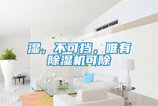 濕，不可擋，唯有除濕機可除