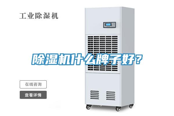 除濕機(jī)什么牌子好？