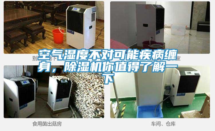 空氣濕度不對可能疾病纏身，除濕機你值得了解一下