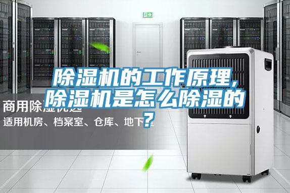 除濕機的工作原理,除濕機是怎么除濕的？