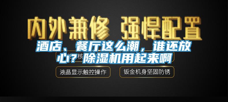酒店、餐廳這么潮，誰還放心？除濕機用起來啊