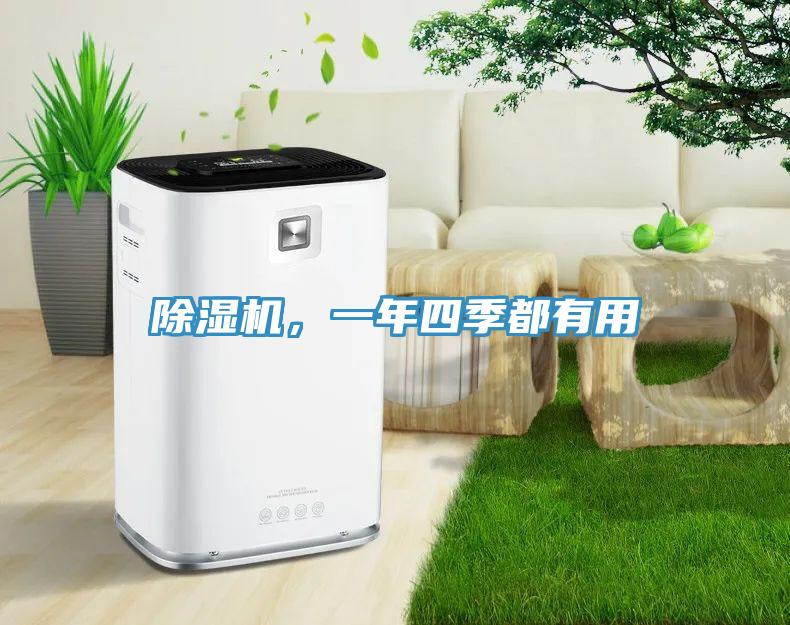 除濕機，一年四季都有用