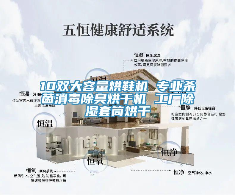 10雙大容量烘鞋機(jī) 專(zhuān)業(yè)殺菌消毒除臭烘干機(jī) 工廠除濕套筒烘干