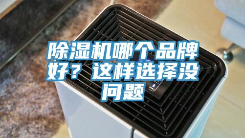 除濕機哪個品牌好？這樣選擇沒問題
