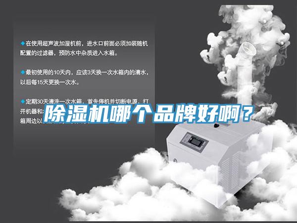 除濕機哪個品牌好??？