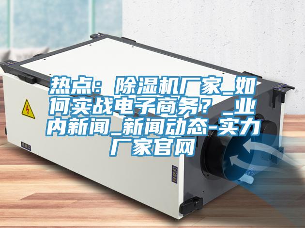 熱點(diǎn)：除濕機(jī)廠家_如何實(shí)戰(zhàn)電子商務(wù)？_業(yè)內(nèi)新聞_新聞動(dòng)態(tài)-實(shí)力廠家官網(wǎng)