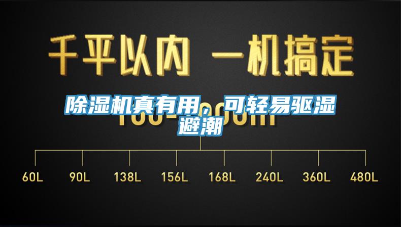 除濕機真有用，可輕易驅濕避潮