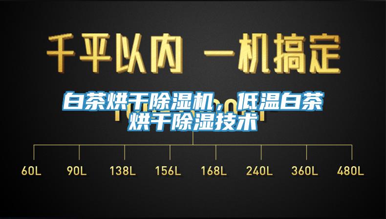 白茶烘干除濕機，低溫白茶烘干除濕技術