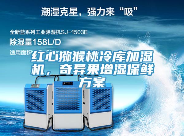 紅心獼猴桃冷庫加濕機，奇異果增濕保鮮方案
