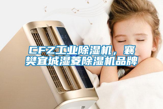 CFZ工業除濕機，襄樊宜城濕菱除濕機品牌