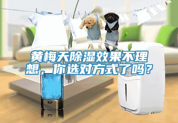 黃梅天除濕效果不理想，你選對(duì)方式了嗎？