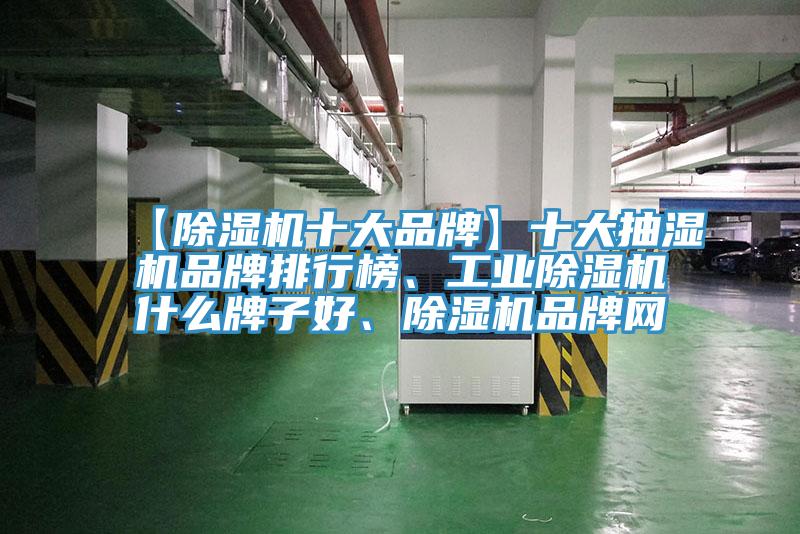 【除濕機十大品牌】十大抽濕機品牌排行榜、工業(yè)除濕機什么牌子好、除濕機品牌網(wǎng)