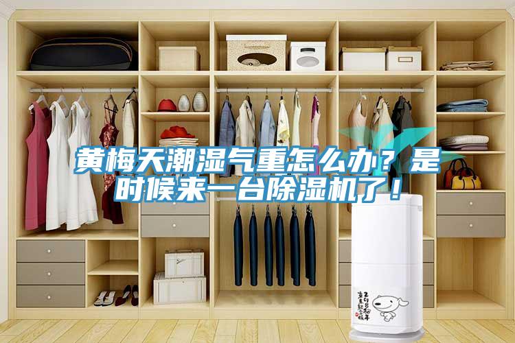 黃梅天潮濕氣重怎么辦？是時(shí)候來一臺(tái)除濕機(jī)了！