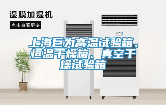 上海巨為高溫試驗箱、恒溫干燥箱、真空干燥試驗箱