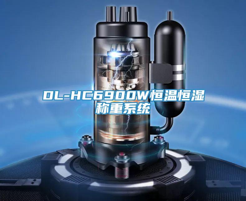 DL-HC6900W恒溫恒濕稱(chēng)重系統(tǒng)