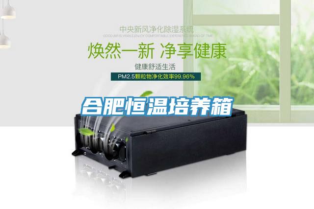 合肥恒溫培養箱