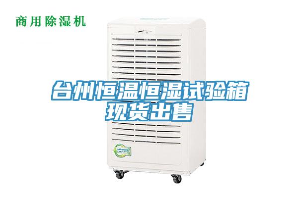 臺州恒溫恒濕試驗箱現(xiàn)貨出售