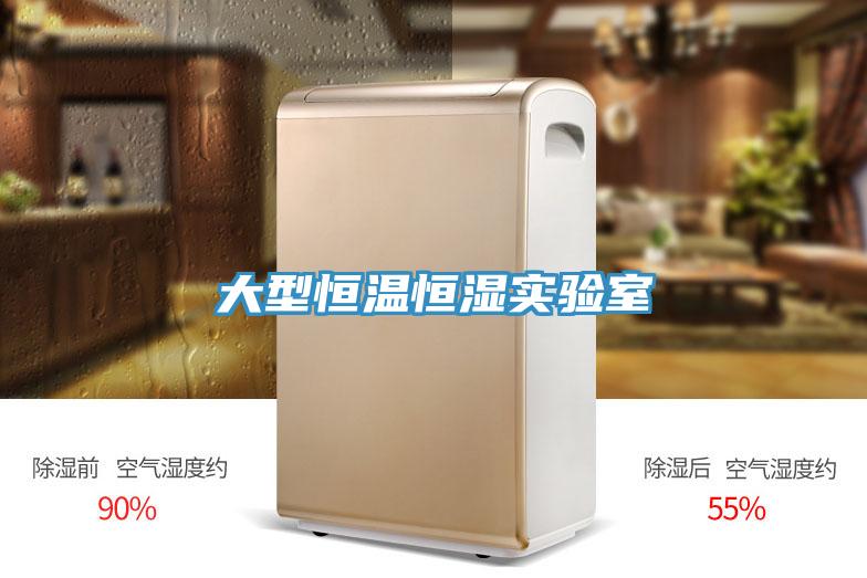 大型恒溫恒濕實(shí)驗室