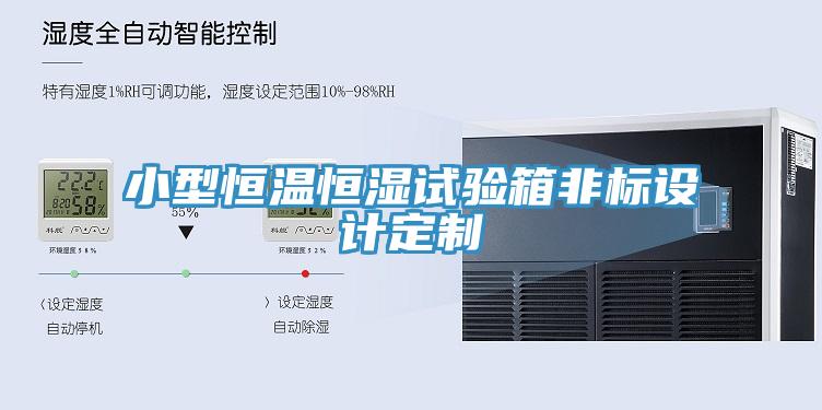 小型恒溫恒濕試驗箱非標(biāo)設(shè)計定制