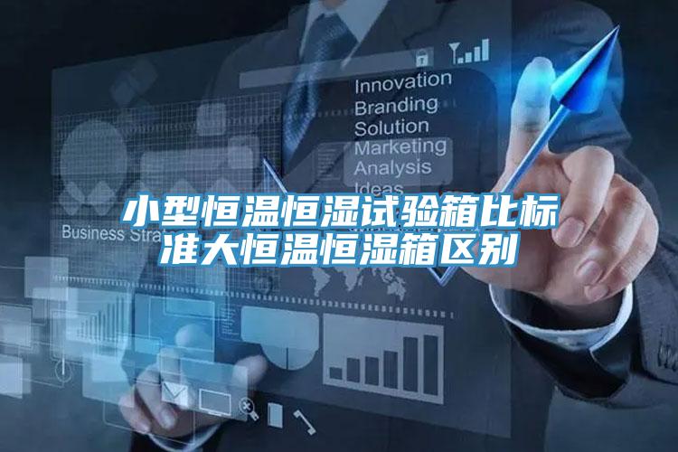 小型恒溫恒濕試驗箱比標(biāo)準(zhǔn)大恒溫恒濕箱區(qū)別