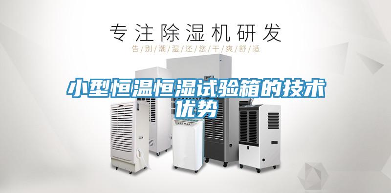 小型恒溫恒濕試驗箱的技術(shù)優(yōu)勢