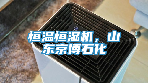 恒溫恒濕機(jī)，山東京博石化
