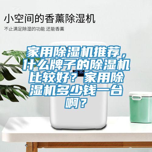 家用除濕機(jī)推薦，什么牌子的除濕機(jī)比較好？家用除濕機(jī)多少錢(qián)一臺(tái)啊？