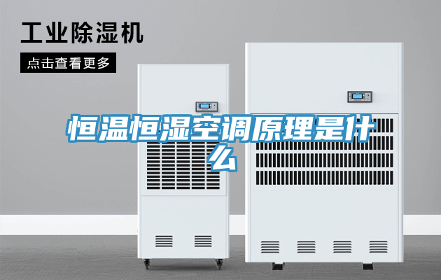 恒溫恒濕空調原理是什么