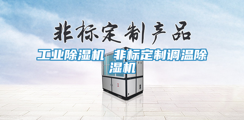 工業除濕機 非標定制調溫除濕機