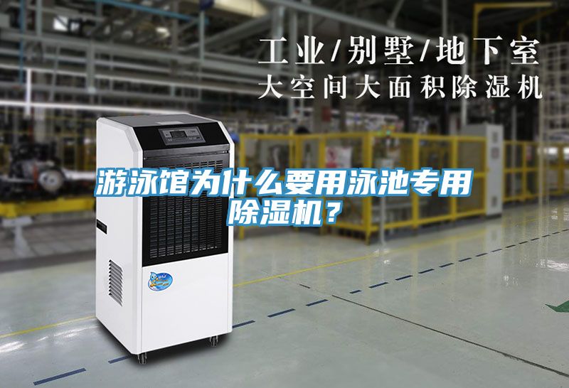 游泳館為什么要用泳池專用除濕機？