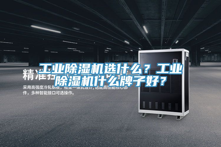 工業(yè)除濕機(jī)選什么？工業(yè)除濕機(jī)什么牌子好？