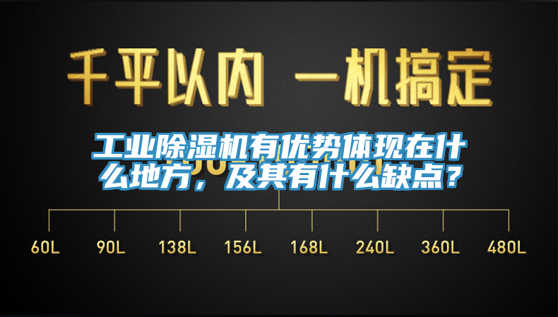 工業(yè)除濕機(jī)有優(yōu)勢體現(xiàn)在什么地方，及其有什么缺點？