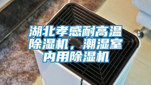 湖北孝感耐高溫除濕機，潮濕室內用除濕機