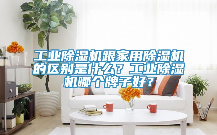工業除濕機跟家用除濕機的區別是什么？工業除濕機哪個牌子好？