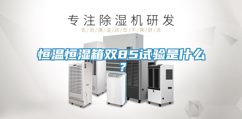 恒溫恒濕箱雙85試驗是什么？