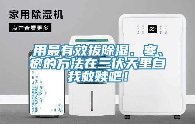 用最有效拔除濕、寒、瘀的方法在三伏天里自我救贖吧！