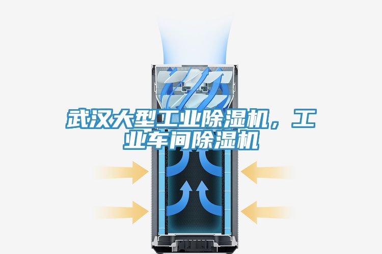 武漢大型工業(yè)除濕機，工業(yè)車間除濕機