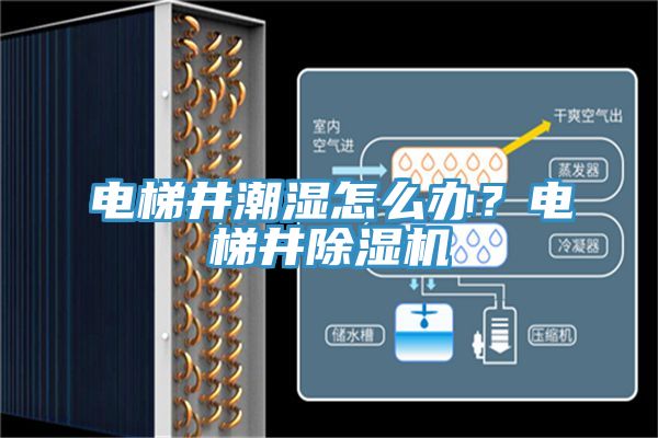 電梯井潮濕怎么辦？電梯井除濕機(jī)