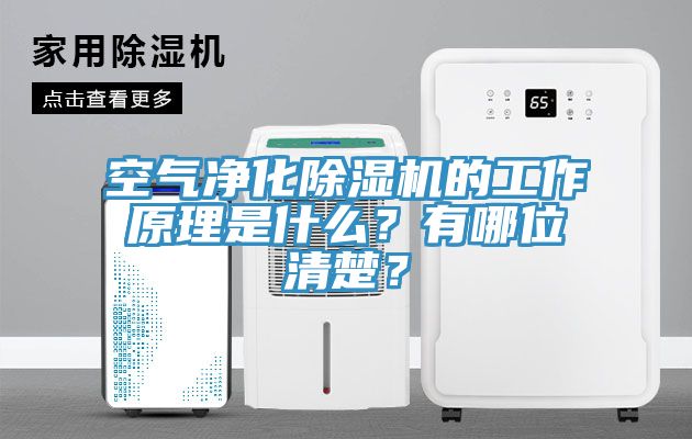 空氣凈化除濕機(jī)的工作原理是什么？有哪位清楚？