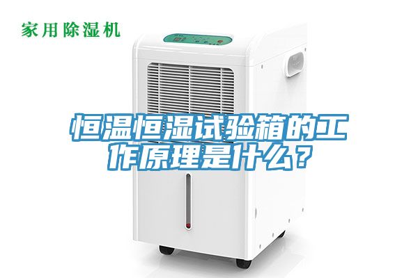 恒溫恒濕試驗箱的工作原理是什么？
