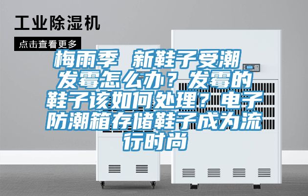 梅雨季 新鞋子受潮 發(fā)霉怎么辦？發(fā)霉的鞋子該如何處理？電子防潮箱存儲(chǔ)鞋子成為流行時(shí)尚